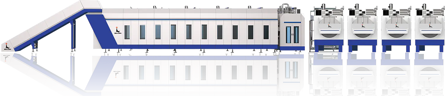 Tunnel Washing System